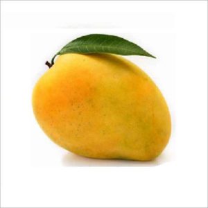 Alphonso Mango