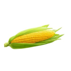 Sweet Corn