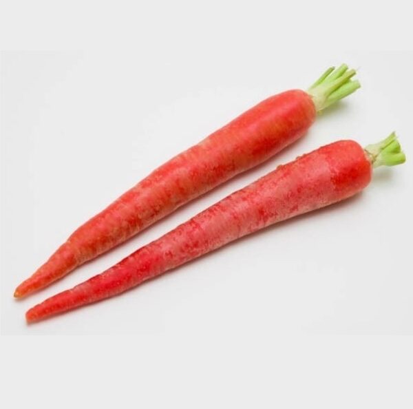 Carrot Red